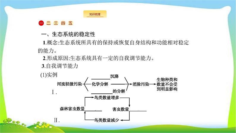 人教版高考生物总复习12.3生态系统的稳定性及生态环境的保护完美课件PPT第2页