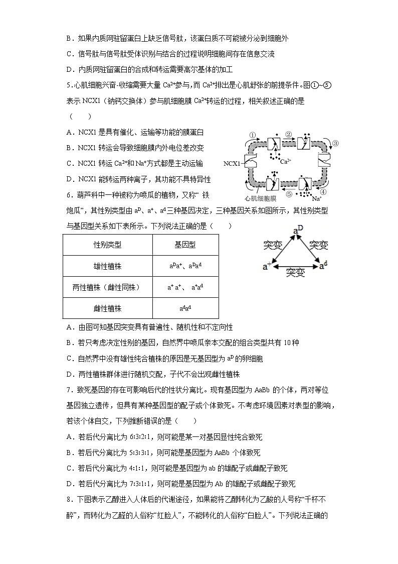 学生用卷第2页