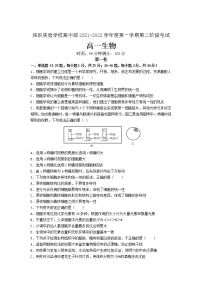 广东省深圳实验学校2021-2022学年高一上学期第二阶段考试生物含答案