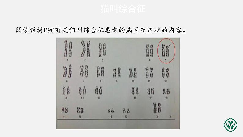 第5章第2节 染色体变异（第2课时）课件PPT第2页