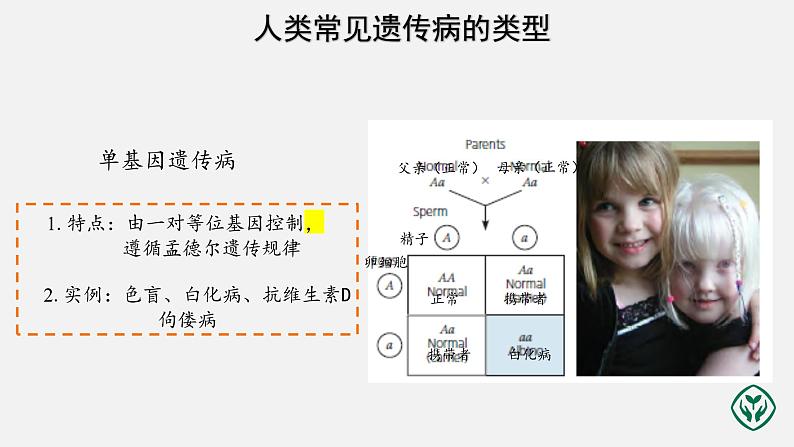 第5章第3节 人类遗传病课件PPT第6页