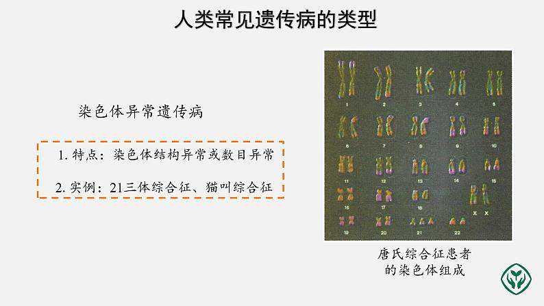 第5章第3节 人类遗传病课件PPT第8页