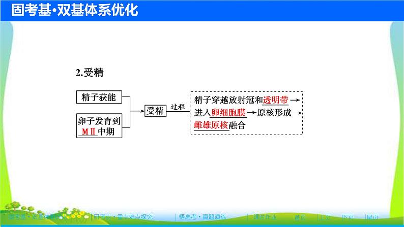 人教版高考生物总复习11.3胚胎工程及伦理问题完美课件PPT第5页