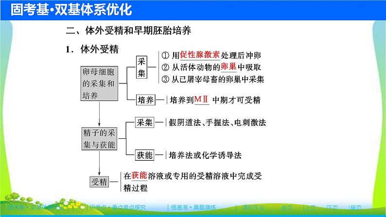 人教版高考生物总复习11.3胚胎工程及伦理问题完美课件PPT第7页