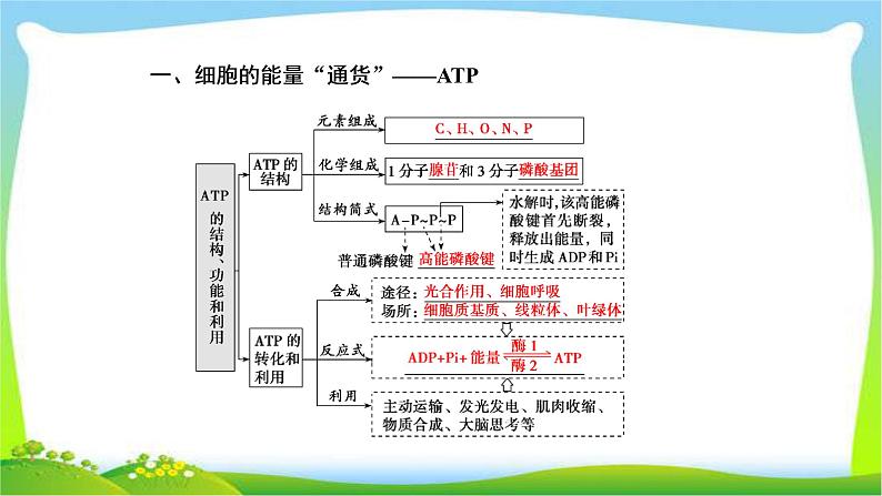 人教版高考生物总复习3.2ATP与细胞呼吸完美课件PPT第4页