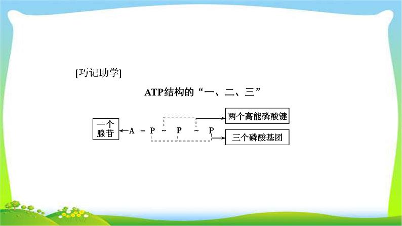 人教版高考生物总复习3.2ATP与细胞呼吸完美课件PPT第5页