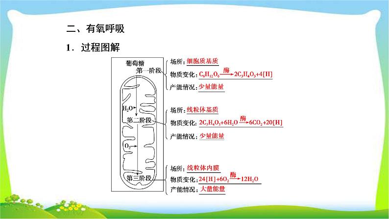 人教版高考生物总复习3.2ATP与细胞呼吸完美课件PPT第6页