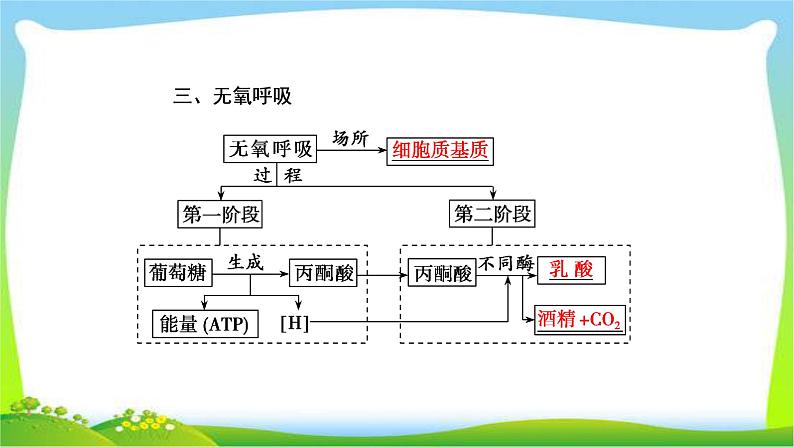 人教版高考生物总复习3.2ATP与细胞呼吸完美课件PPT第8页