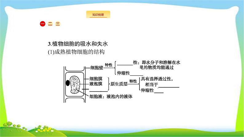 人教版高考生物总复习2.3细胞的物质输入和输出完美课件PPT04