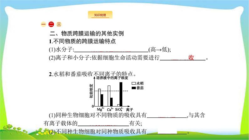 人教版高考生物总复习2.3细胞的物质输入和输出完美课件PPT06