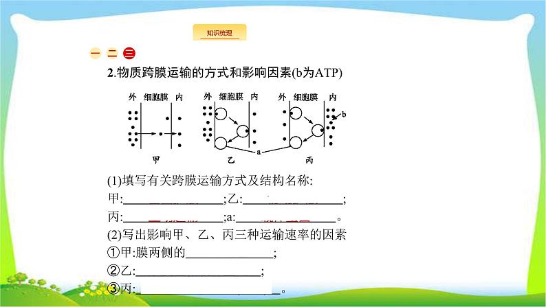 人教版高考生物总复习2.3细胞的物质输入和输出完美课件PPT08