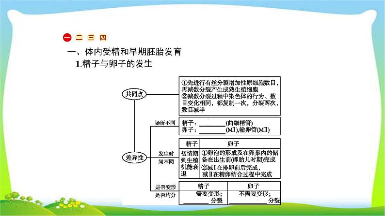 人教版高考生物总复习13.3基因工程及生物技术的安全性完美课件PPT第2页