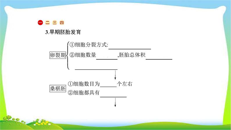 人教版高考生物总复习13.3基因工程及生物技术的安全性完美课件PPT第5页