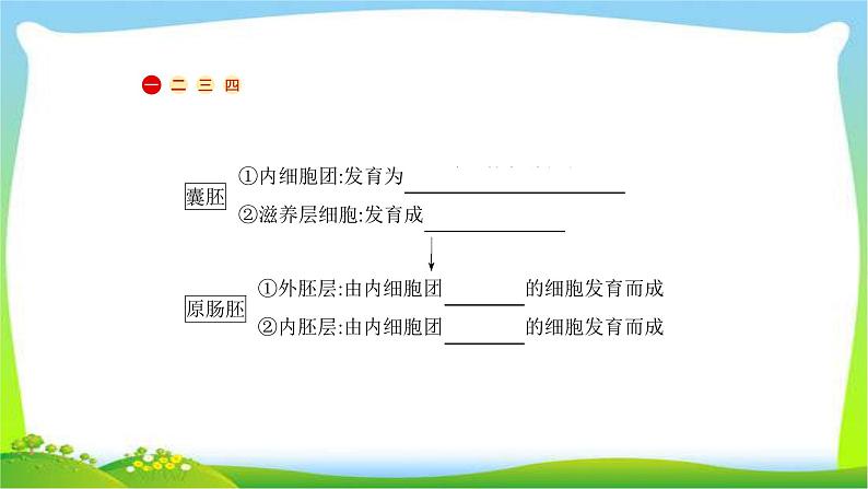 人教版高考生物总复习13.3基因工程及生物技术的安全性完美课件PPT第6页