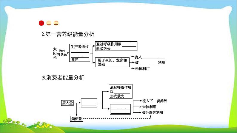 人教版高考生物总复习12.2生态系统的功能完美课件PPT第3页