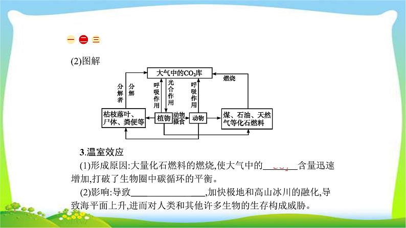 人教版高考生物总复习12.2生态系统的功能完美课件PPT第7页