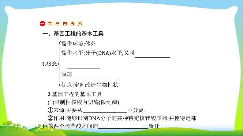 人教版高考生物总复习13.1基因工程及生物技术的安全性完美课件PPT第4页