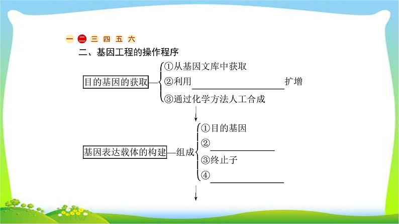 人教版高考生物总复习13.1基因工程及生物技术的安全性完美课件PPT第8页