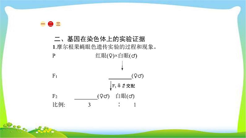 人教版高考生物总复习6.1基因在染色体上性遗传完美课件PPT第4页