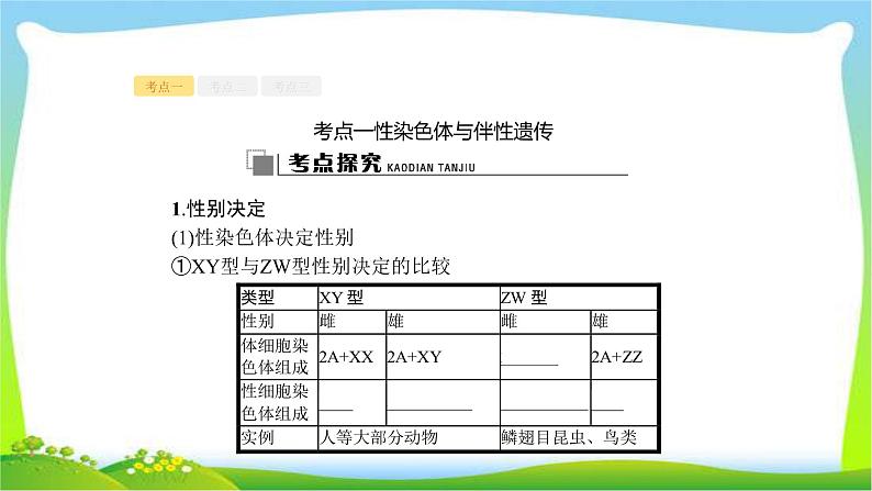人教版高考生物总复习6.1基因在染色体上性遗传完美课件PPT第8页