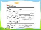 人教版高考生物总复习10植物的激素调节完美课件PPT