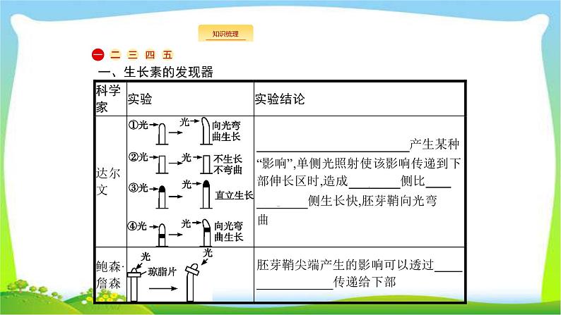 人教版高考生物总复习10植物的激素调节完美课件PPT第2页