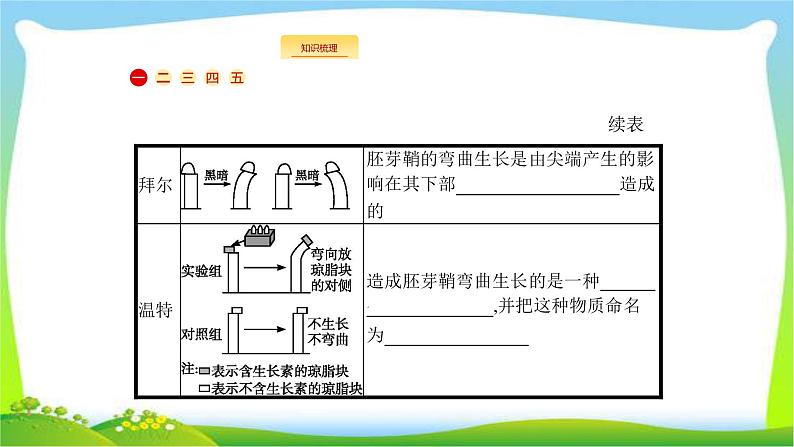 人教版高考生物总复习10植物的激素调节完美课件PPT第3页