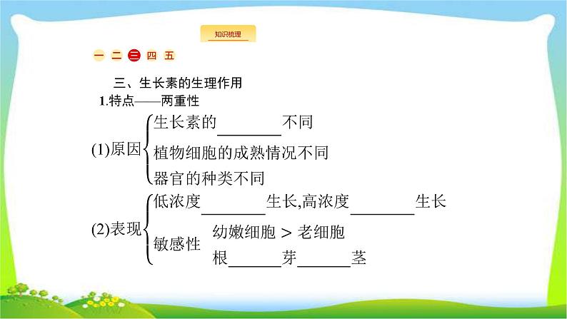 人教版高考生物总复习10植物的激素调节完美课件PPT第5页