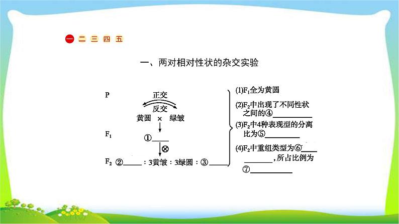 人教版高考生物总复习5.2孟德尔的豌豆杂交实验(二)完美课件PPT第2页