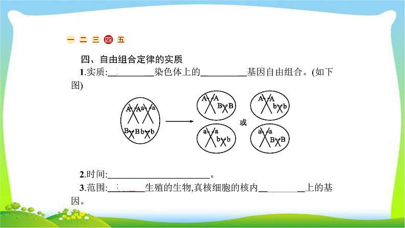 人教版高考生物总复习5.2孟德尔的豌豆杂交实验(二)完美课件PPT第6页