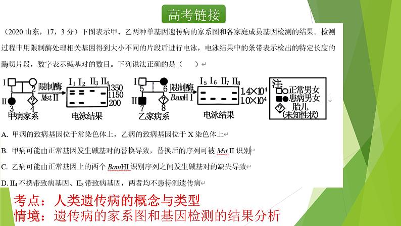 专题4 基因在染色体上和伴性遗传-备战2022年高考生物复习专题精品课件第3页