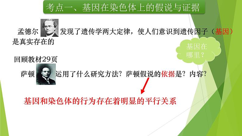 专题4 基因在染色体上和伴性遗传-备战2022年高考生物复习专题精品课件第5页