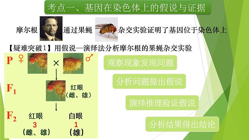 专题4 基因在染色体上和伴性遗传-备战2022年高考生物复习专题精品课件第6页