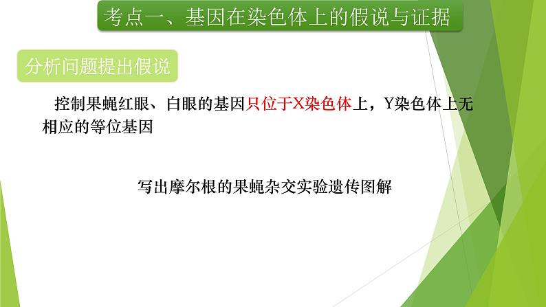 专题4 基因在染色体上和伴性遗传-备战2022年高考生物复习专题精品课件第8页