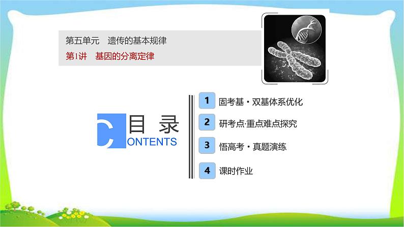 人教版高考生物总复习5.1基因的分离定律完美课件PPT第1页