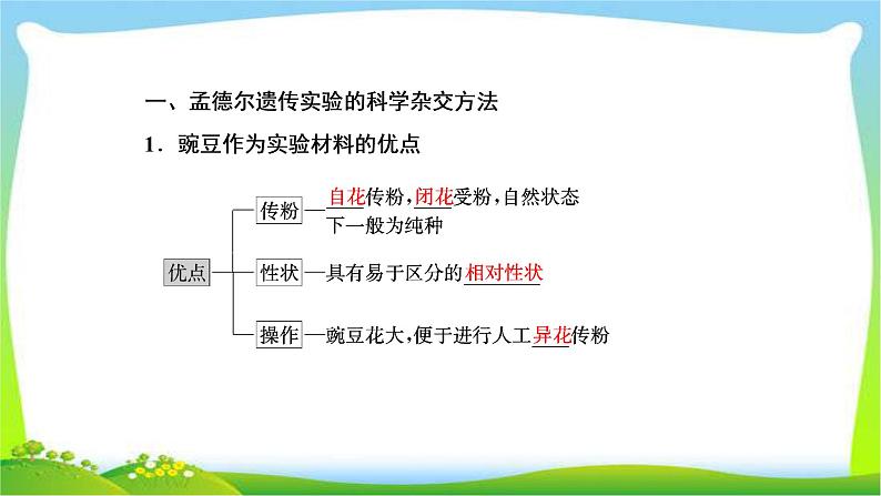 人教版高考生物总复习5.1基因的分离定律完美课件PPT第4页