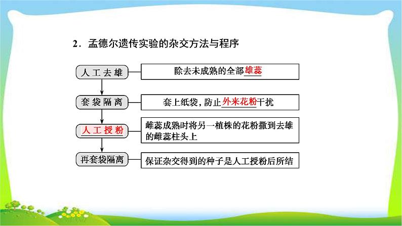 人教版高考生物总复习5.1基因的分离定律完美课件PPT第5页