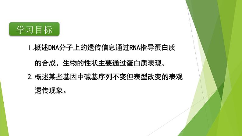 专题7 基因的表达-备战2022年高考生物复习专题精品课件第2页