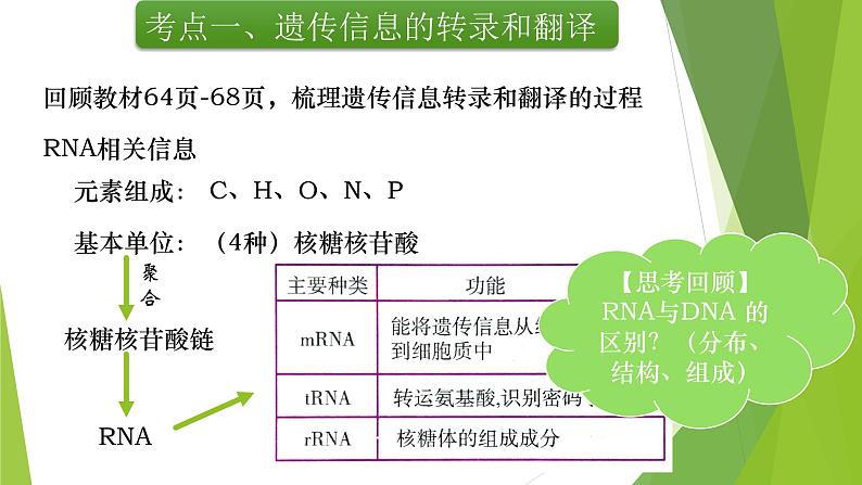 专题7 基因的表达-备战2022年高考生物复习专题精品课件第3页