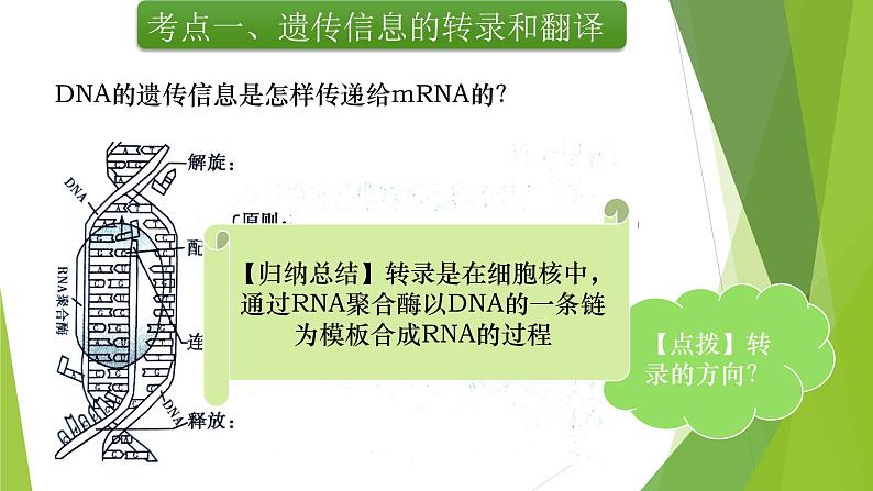 专题7 基因的表达-备战2022年高考生物复习专题精品课件第4页