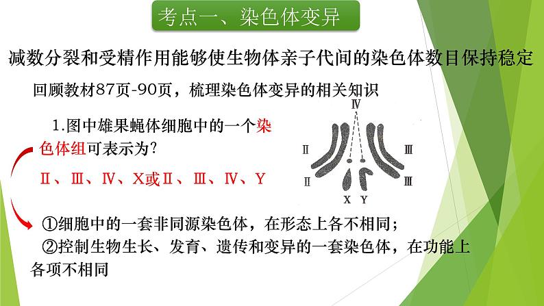 专题9 染色体变异与育种-备战2022年高考生物复习专题精品课件第5页