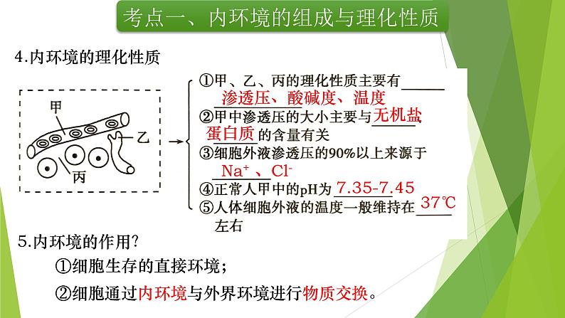 专题11 人体的内环境与稳态-备战2022年高考生物复习专题精品课件第8页