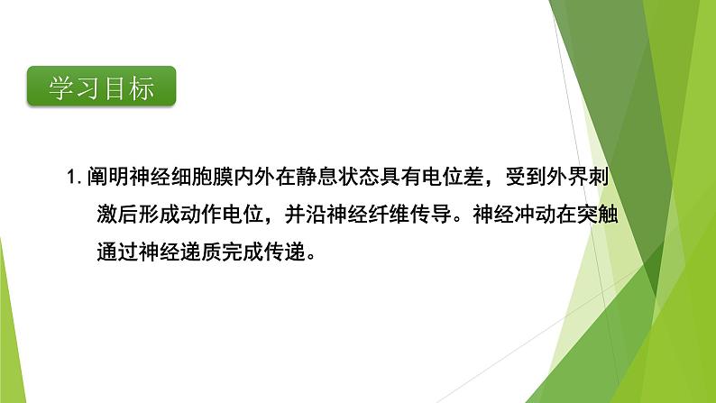 专题12 神经调节(第二课时)-备战2022年高考生物复习专题精品课件第2页