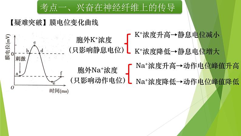 专题12 神经调节(第二课时)-备战2022年高考生物复习专题精品课件第7页