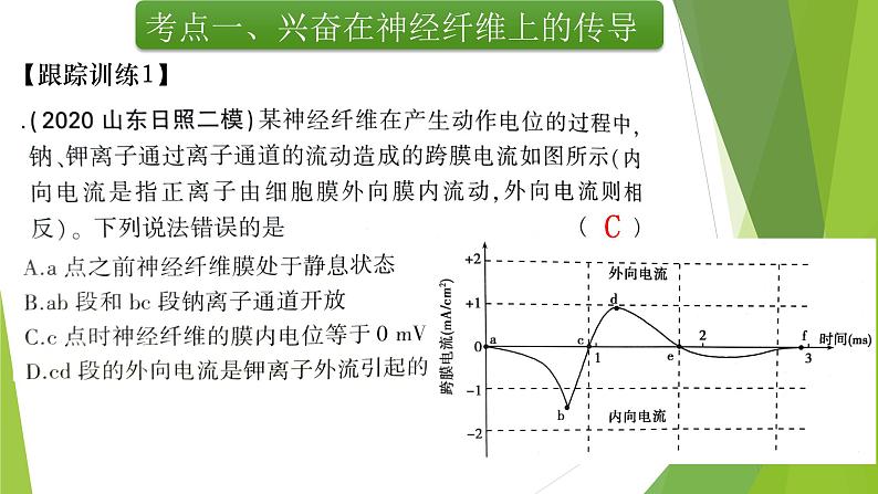 专题12 神经调节(第二课时)-备战2022年高考生物复习专题精品课件第8页