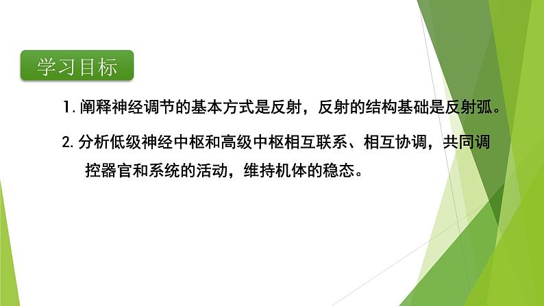 专题12 神经调节(第一课时)-备战2022年高考生物复习专题精品课件第4页