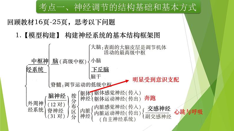 专题12 神经调节(第一课时)-备战2022年高考生物复习专题精品课件第5页