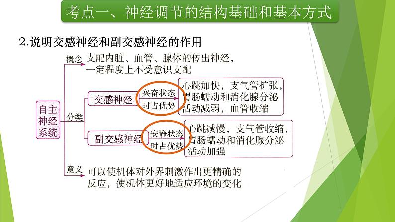 专题12 神经调节(第一课时)-备战2022年高考生物复习专题精品课件第6页