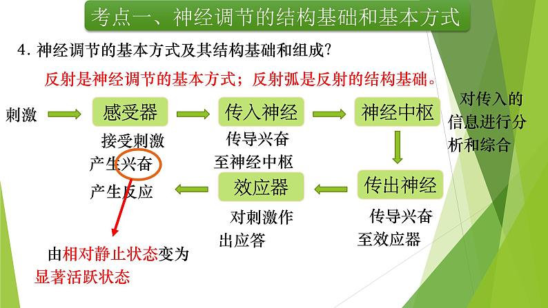 专题12 神经调节(第一课时)-备战2022年高考生物复习专题精品课件第8页