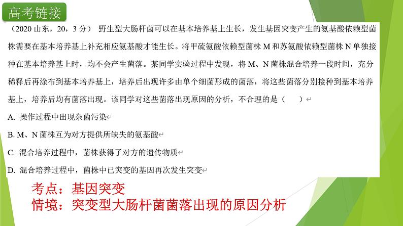 专题8 基因突变与基因重组-备战2022年高考生物复习专题精品课件第3页